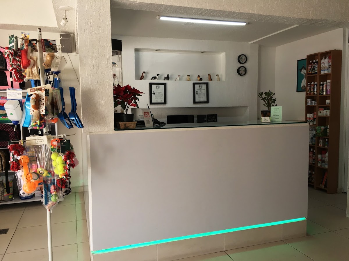 FELICAN HOSPITAL VETERINARIO — foto 2
