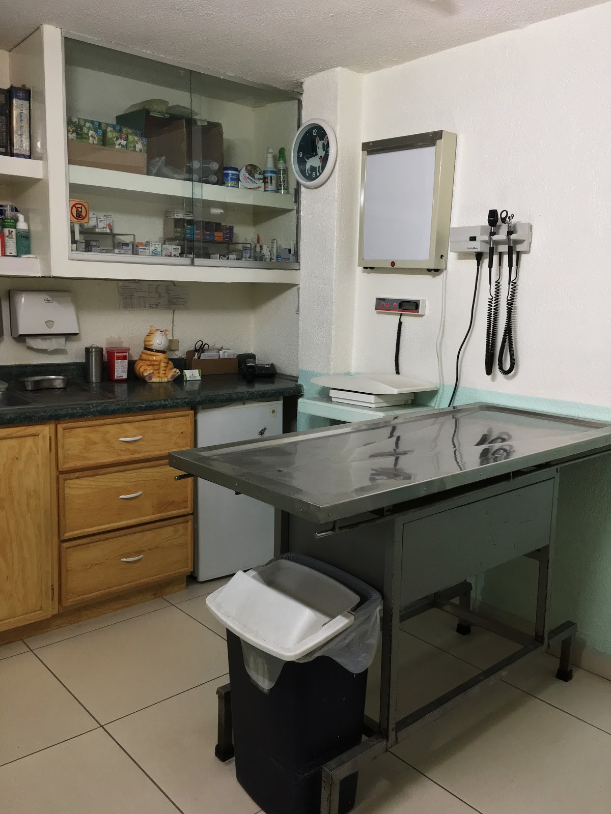 FELICAN HOSPITAL VETERINARIO — foto 3