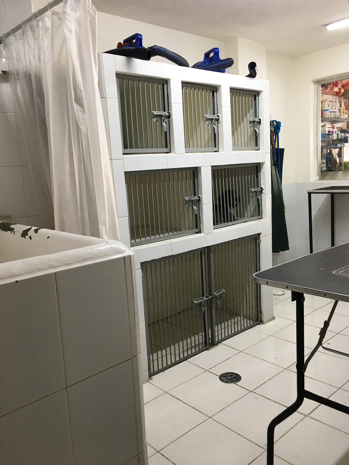 FELICAN HOSPITAL VETERINARIO — foto 4
