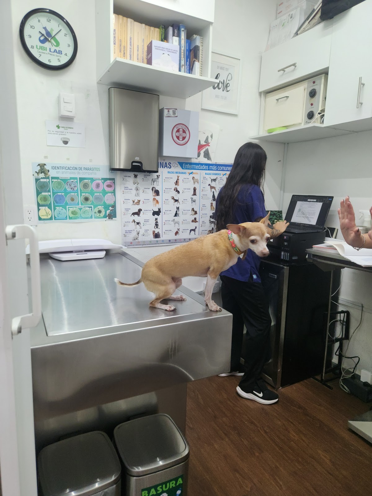 Clínica Veterinaria Cancún