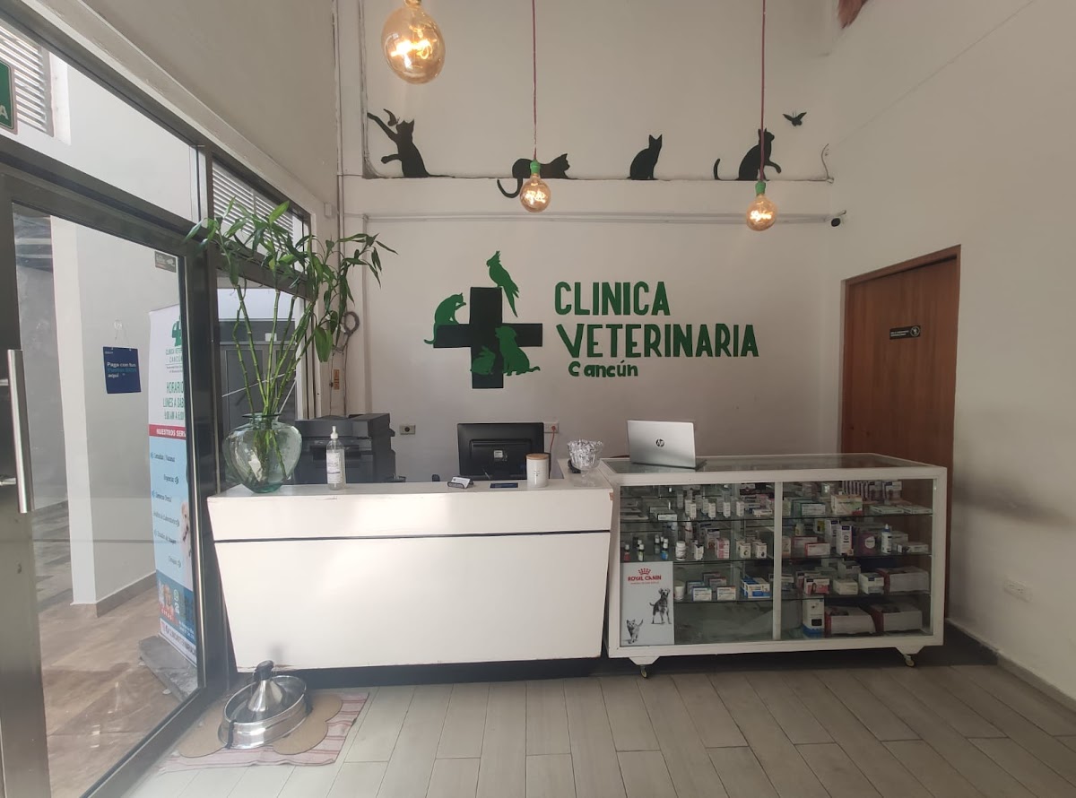 Clínica Veterinaria Cancún — foto 3