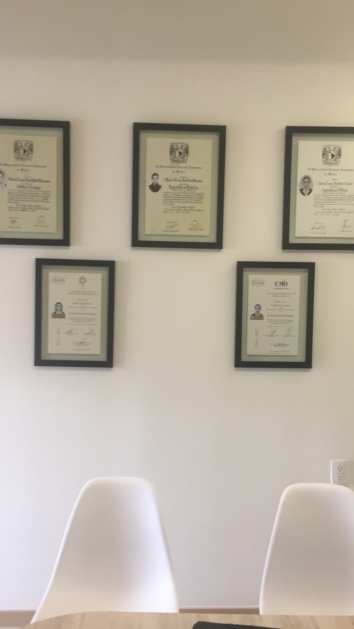 Dra María Luisa Santillán Manzano — foto 3