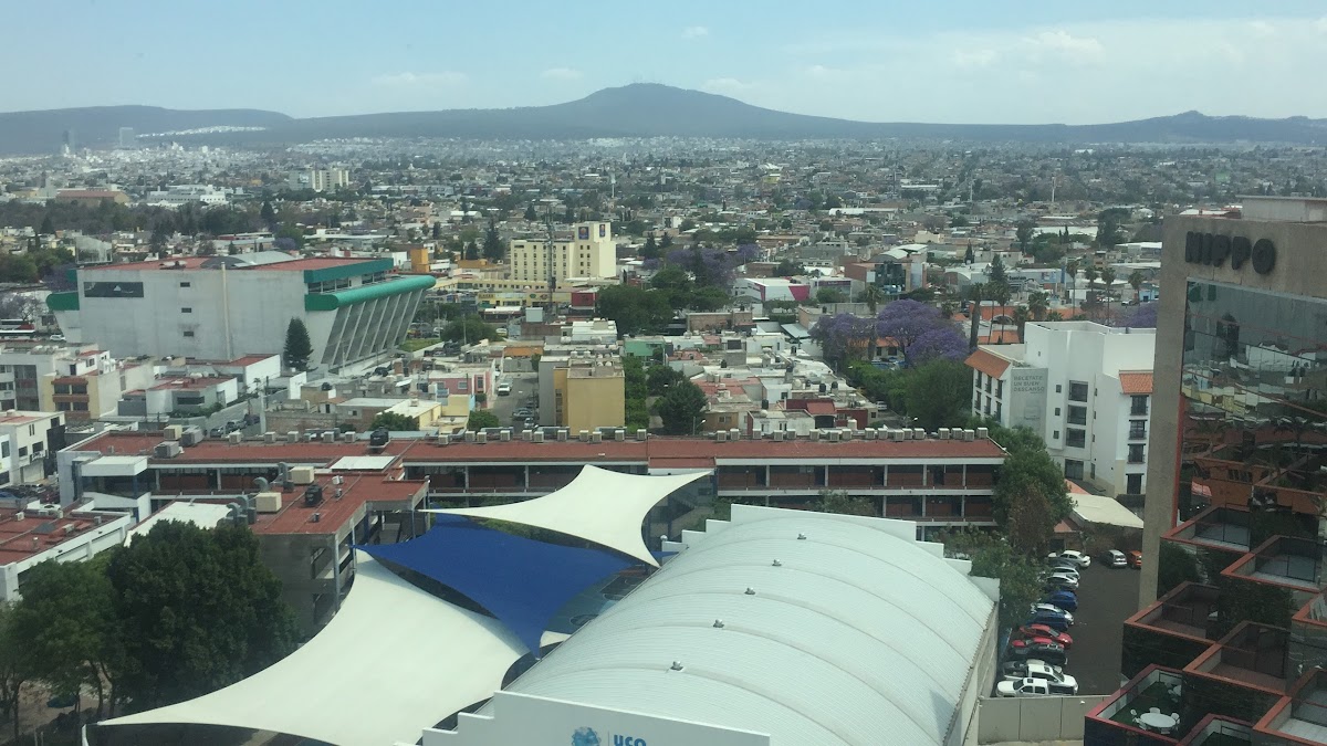Dra María Luisa Santillán Manzano — foto 4