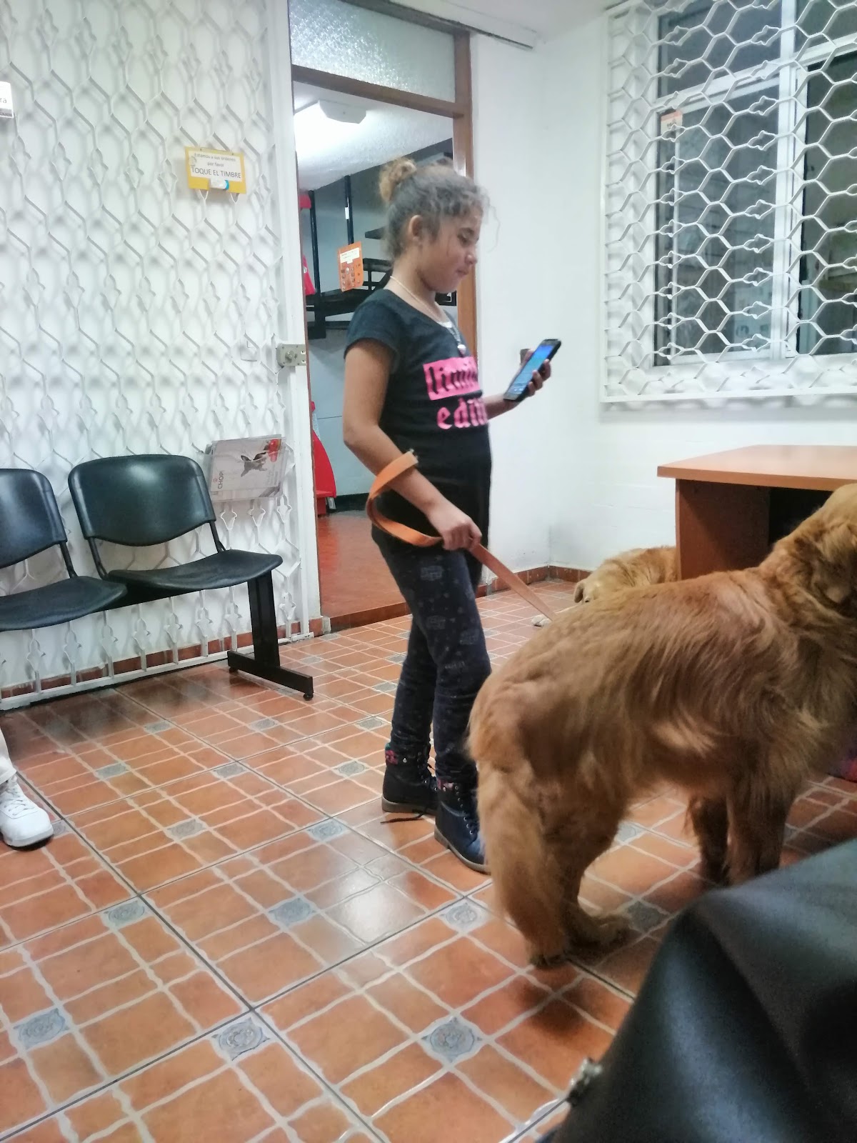 Clínica Veterinaria Jardines. — foto 2