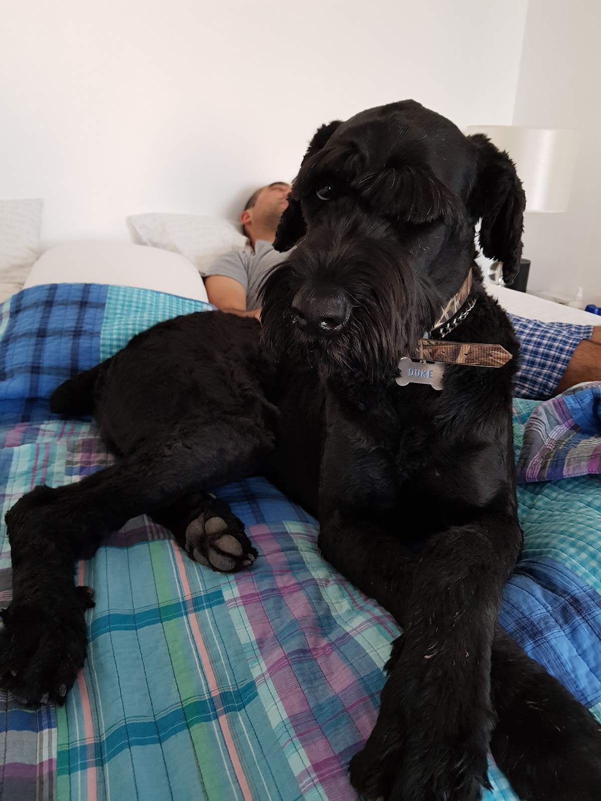 Clínica Veterinaria Jardines. — foto 4