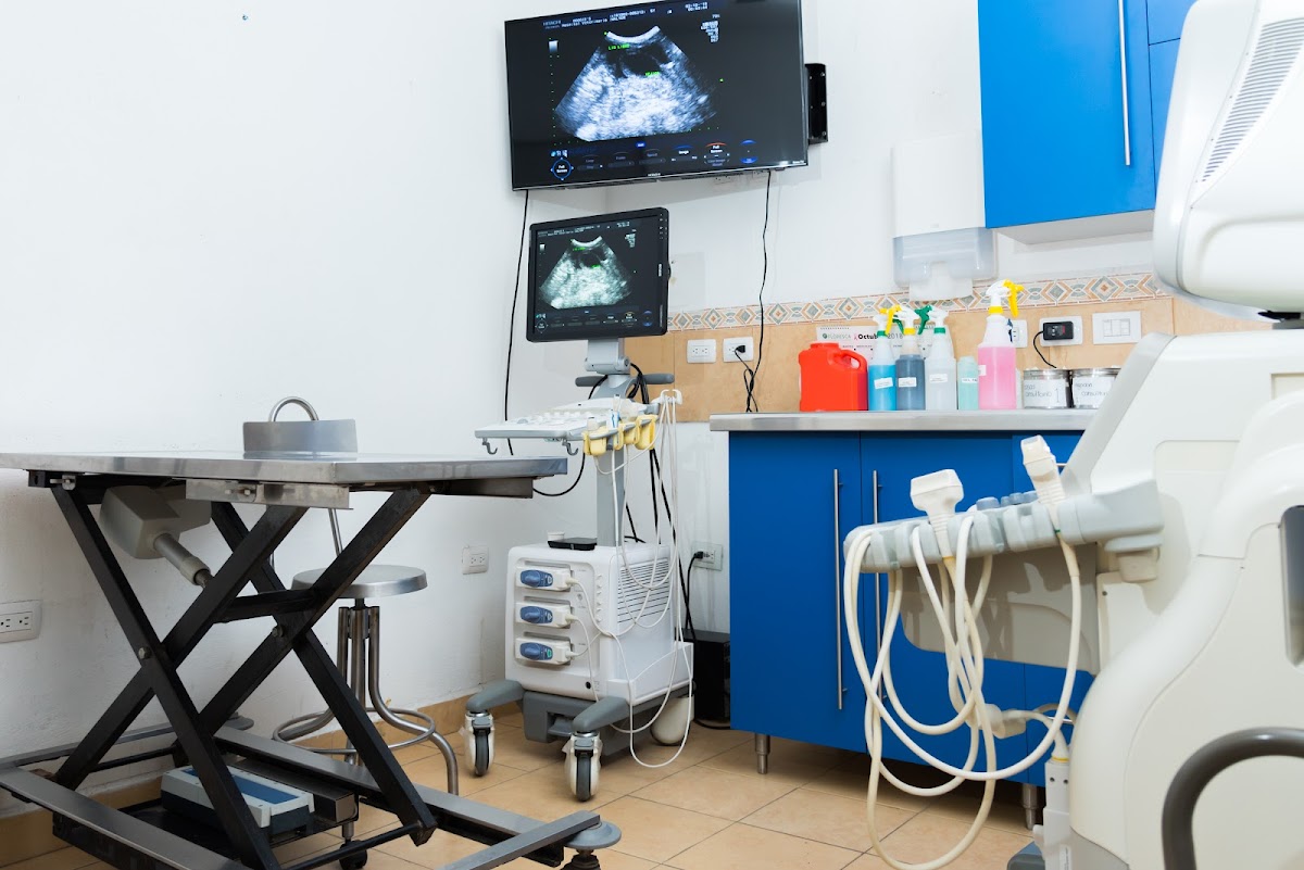 DOGGIE'S HOSPITAL VETERINARIO
