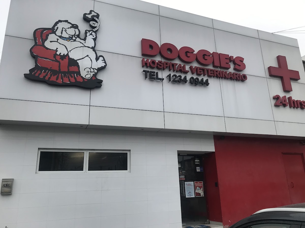 DOGGIE'S HOSPITAL VETERINARIO — foto 3