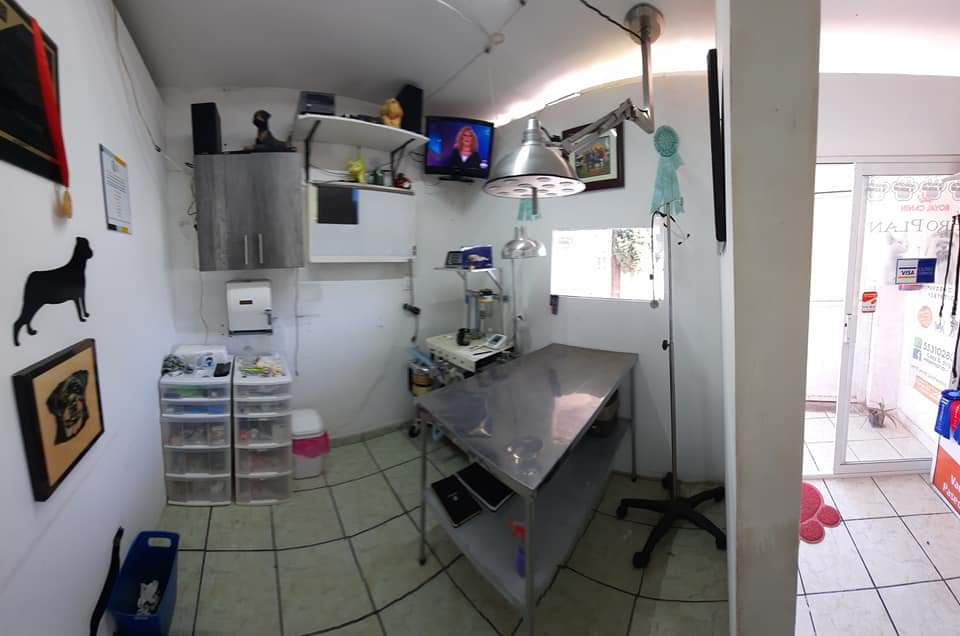 Cats & Dogs veterinaria spa — foto 2