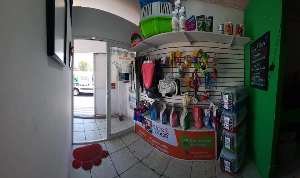 Cats & Dogs veterinaria spa — foto 4