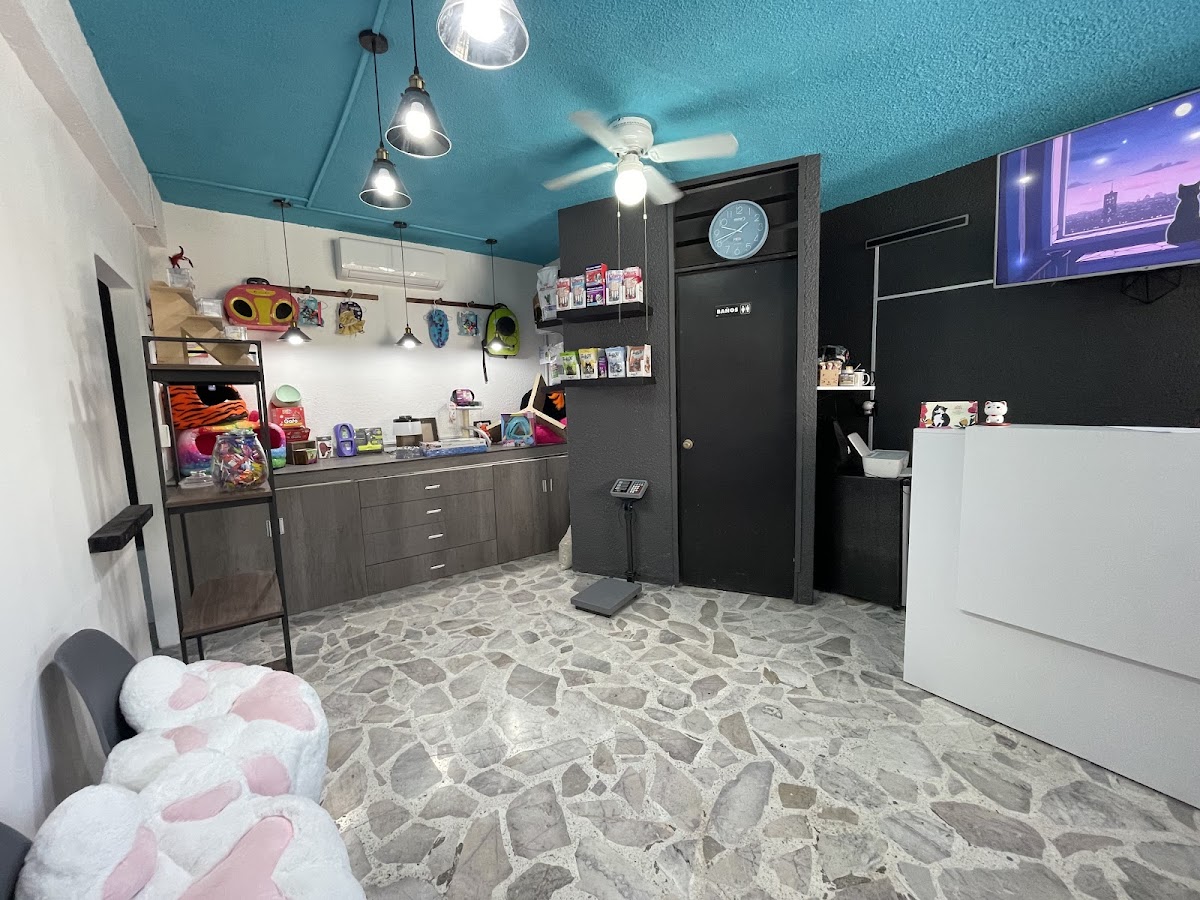 Villa Michis Clínica Exclusiva de Gatos — foto 2