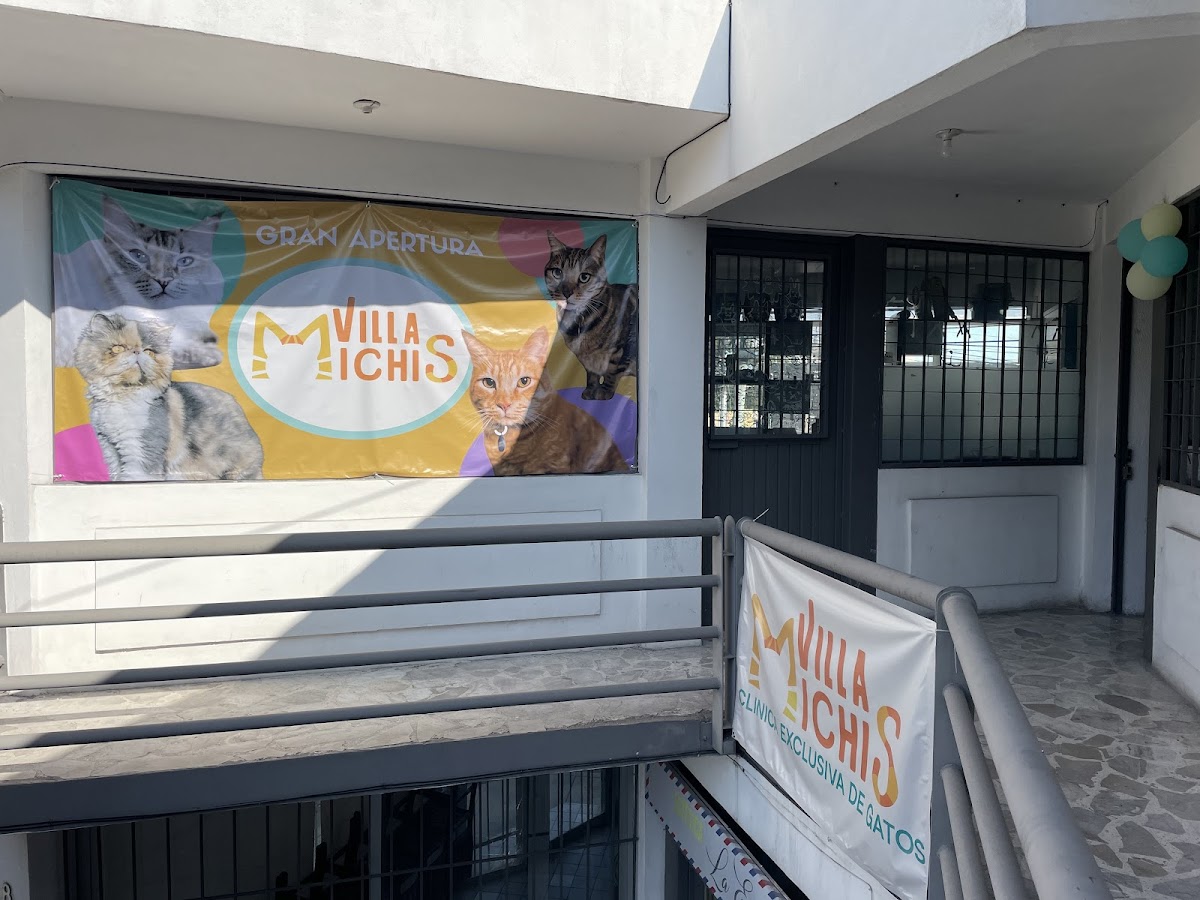 Villa Michis Clínica Exclusiva de Gatos — foto 3