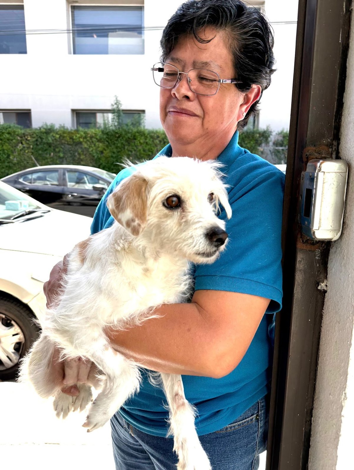 Hospital Veterinario Querétaro 24 hrs — foto 4