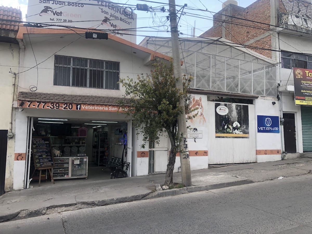 Veterinaria San Juan Bosco (EcoVetGreen)