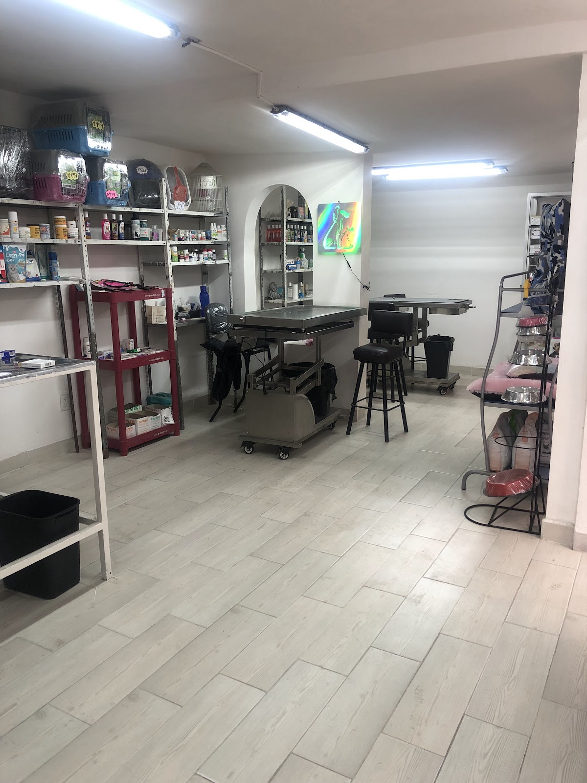 Veterinaria San Juan Bosco (EcoVetGreen) — foto 3