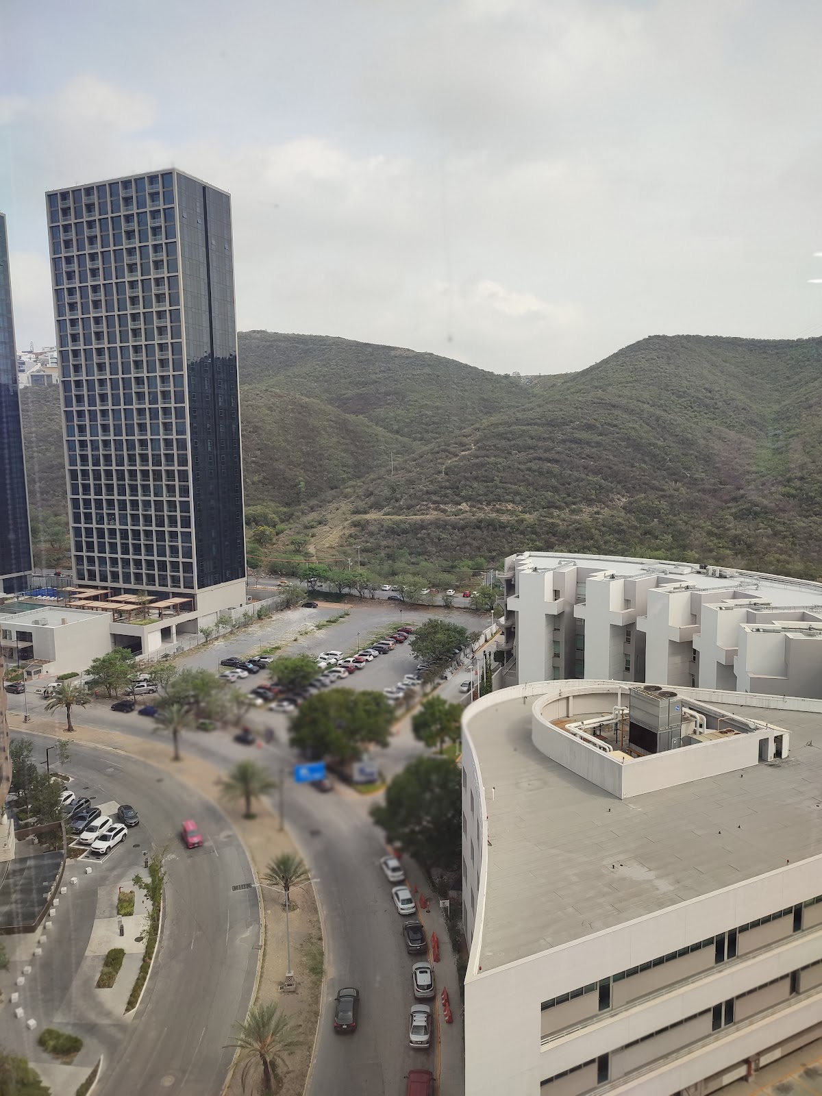 Ginecologa en Monterrey / San Pedro Garza Garcia. Dra. Paulina Miranda Falconi — foto 4