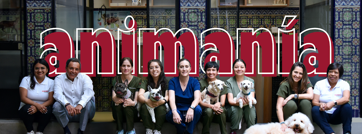 Animania Polanco Hospital 24 hrs