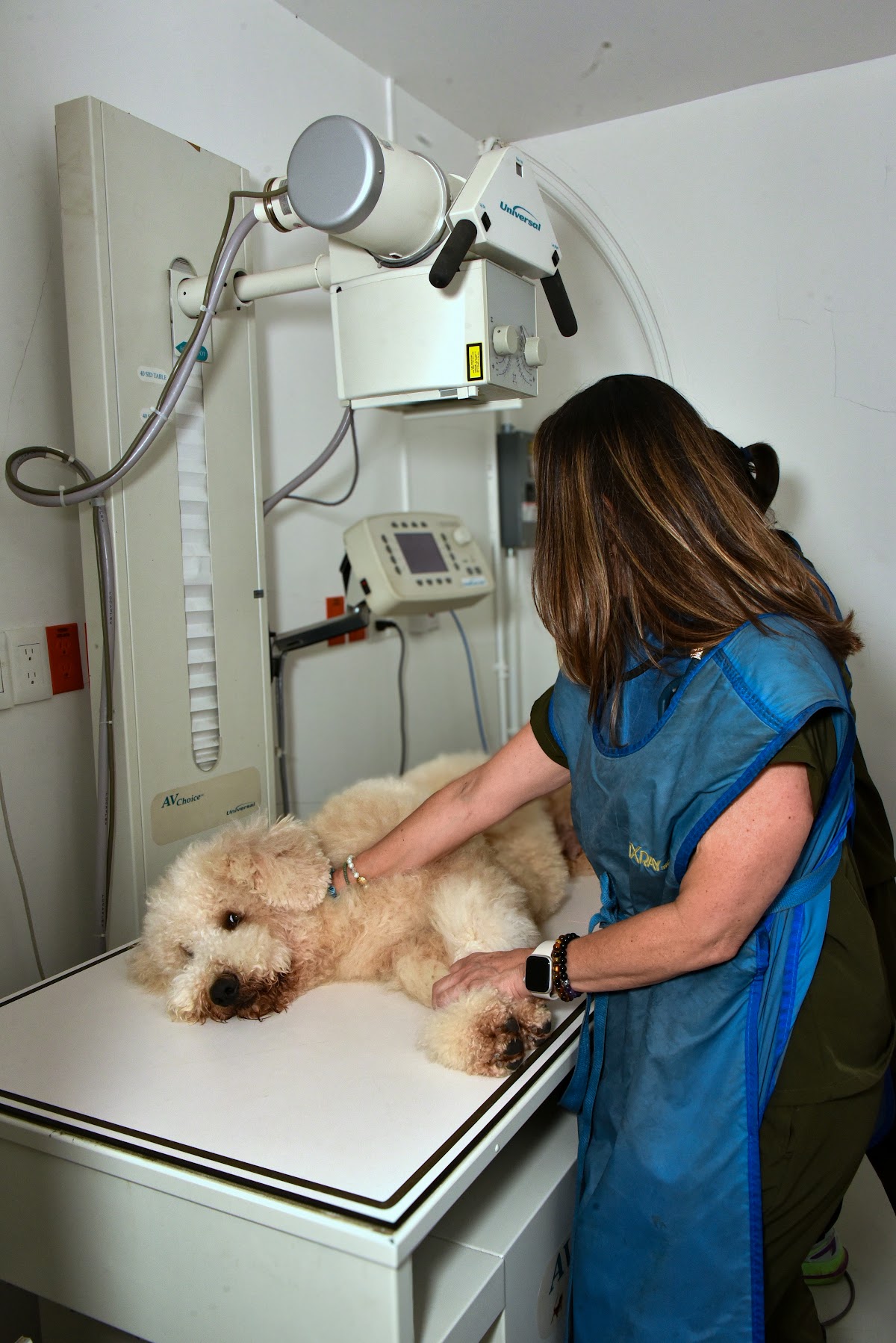 Animania Polanco Hospital 24 hrs — foto 4