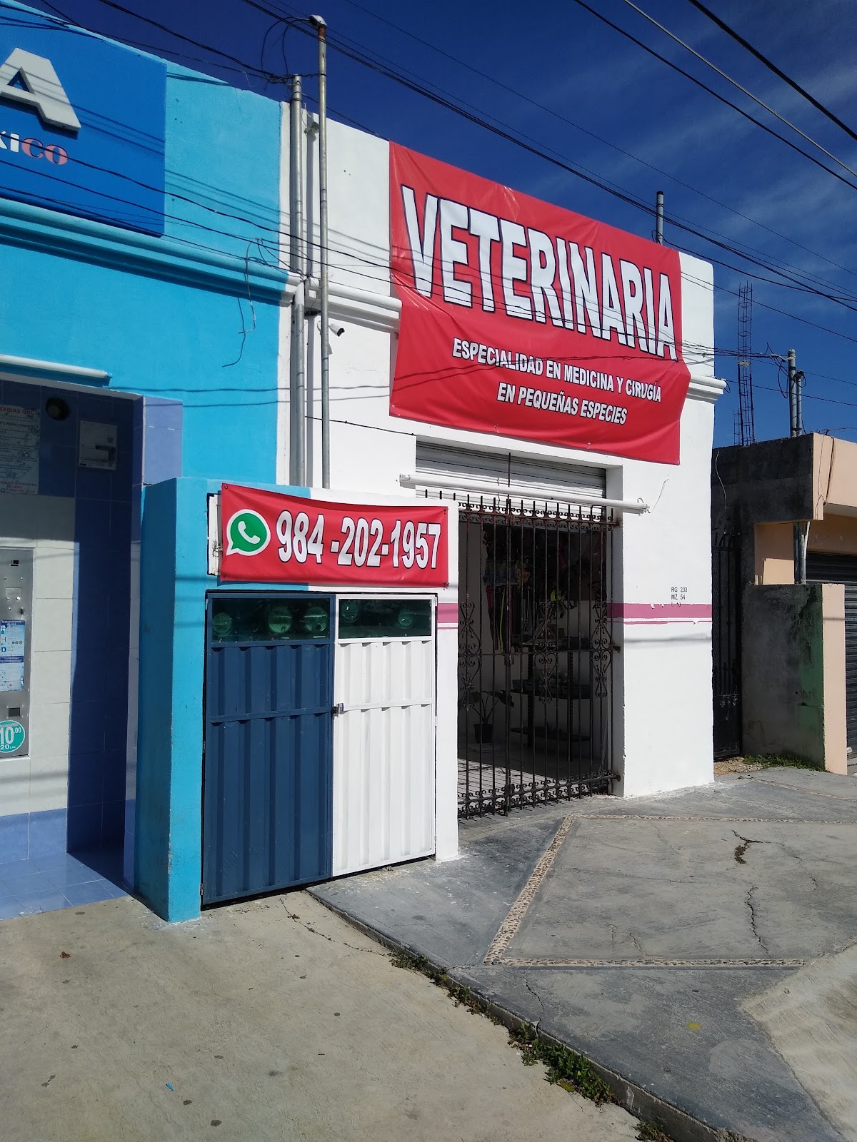 Hospital Veterinario Cancun