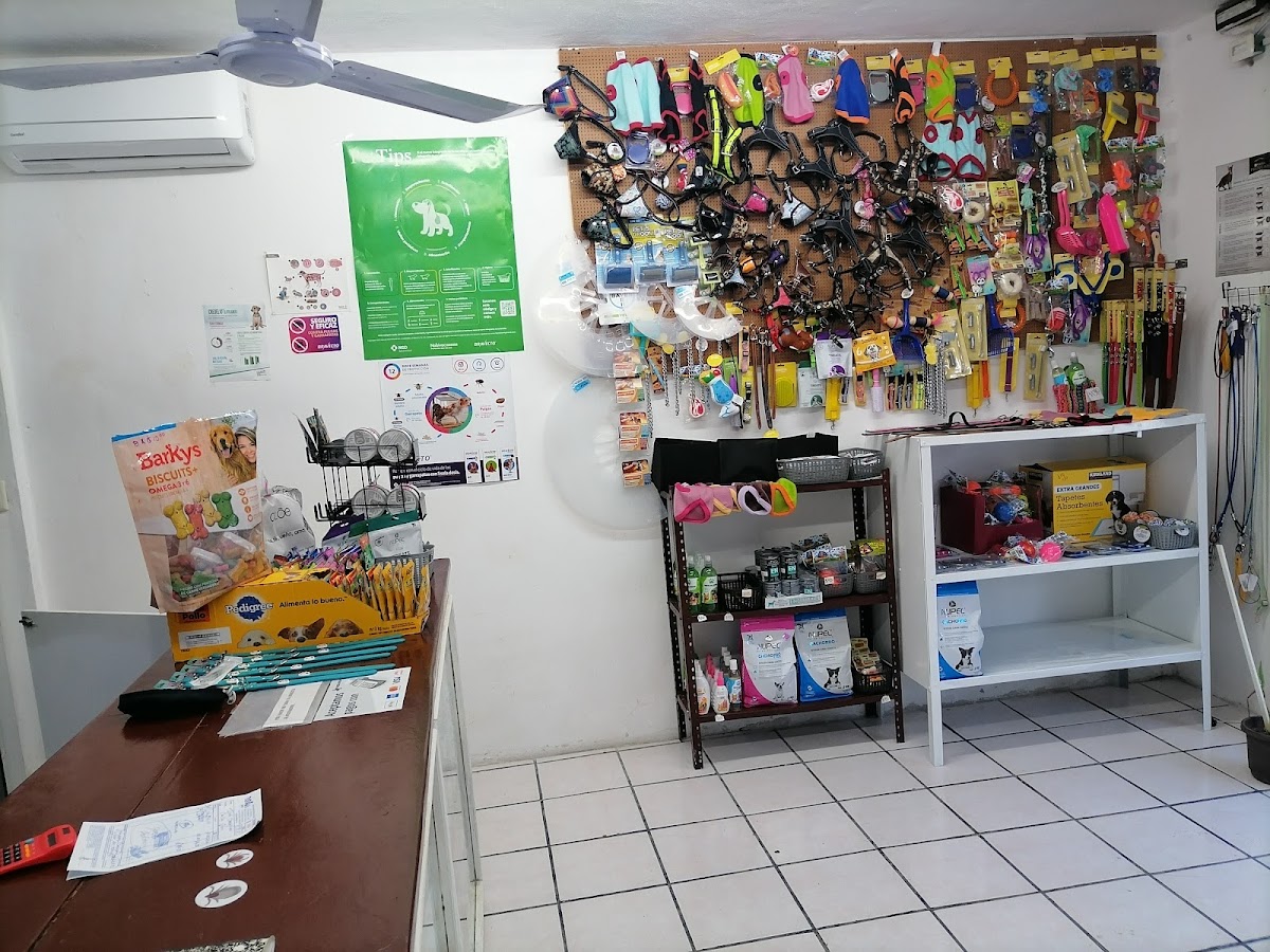 Hospital Veterinario Cancun — foto 2