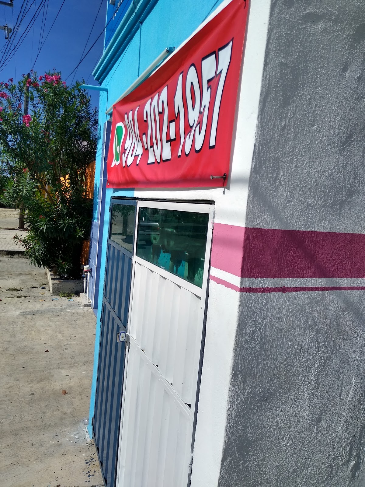 Hospital Veterinario Cancun — foto 4