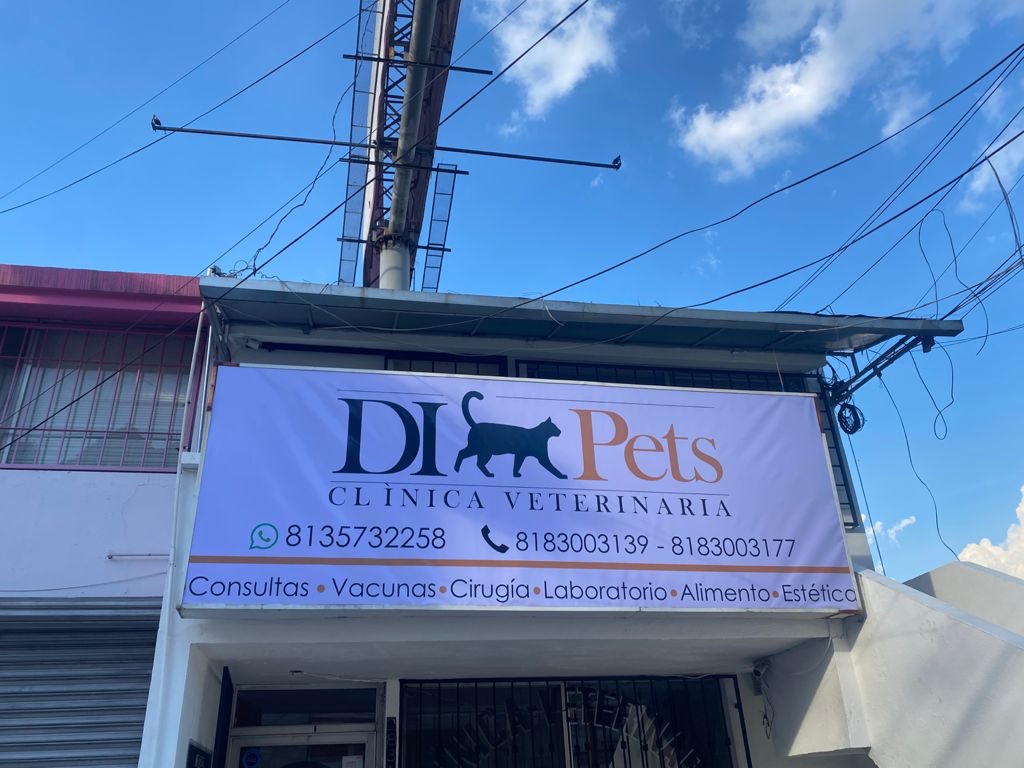 DIpets Clínica Veterinaria