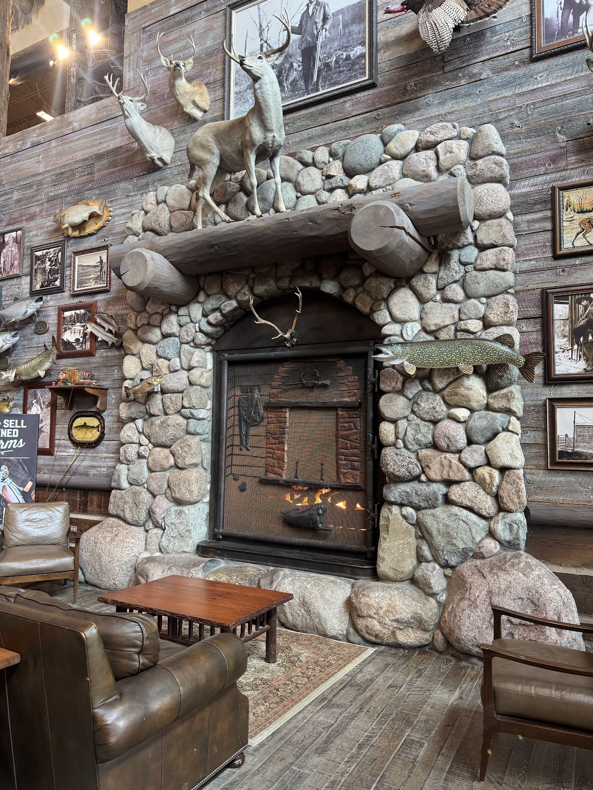 Chimeneas Tecnocal — foto 4
