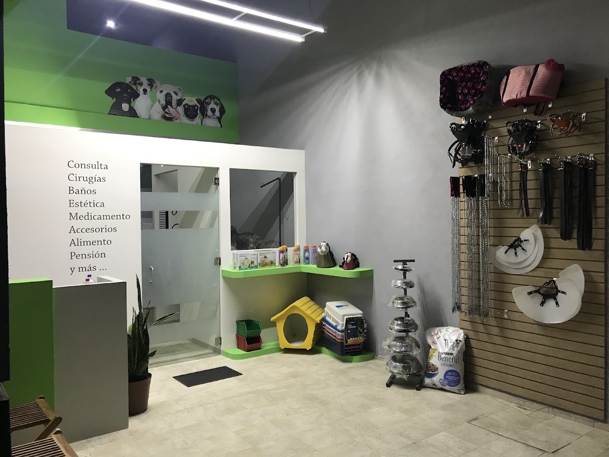 Clinica Veterinaria Harpa — foto 2