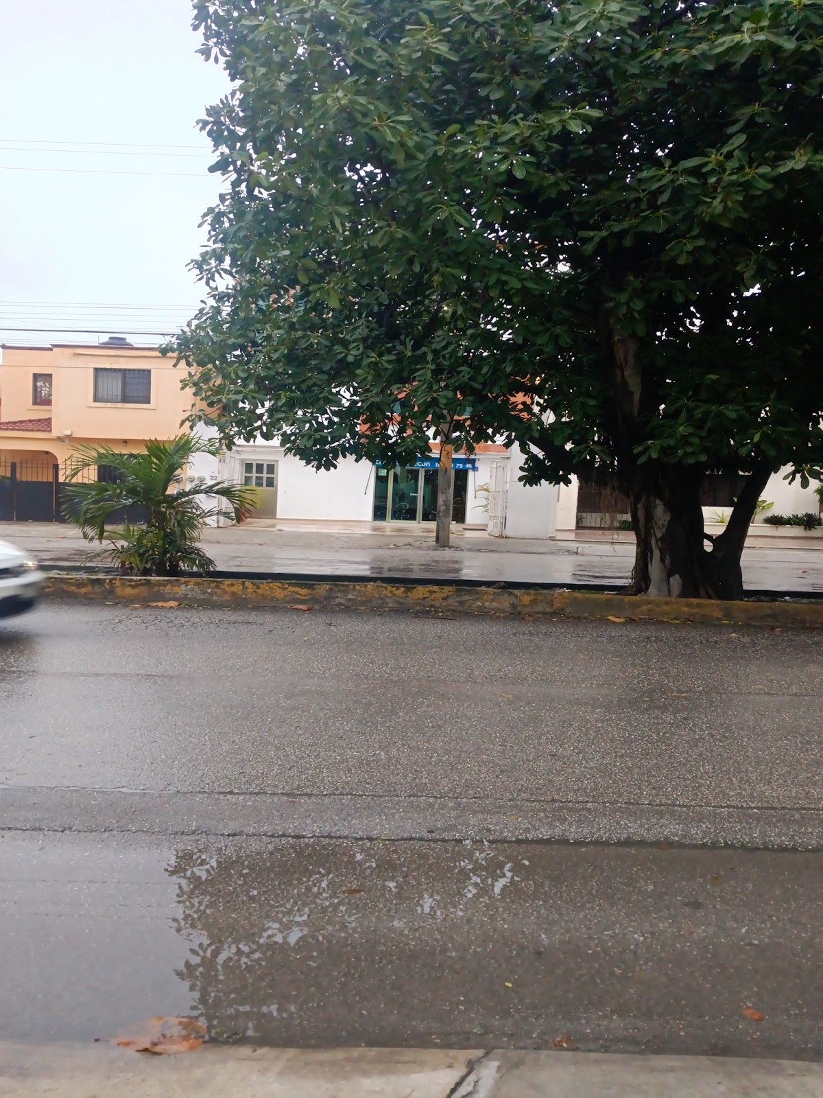 Clinica Ginecun