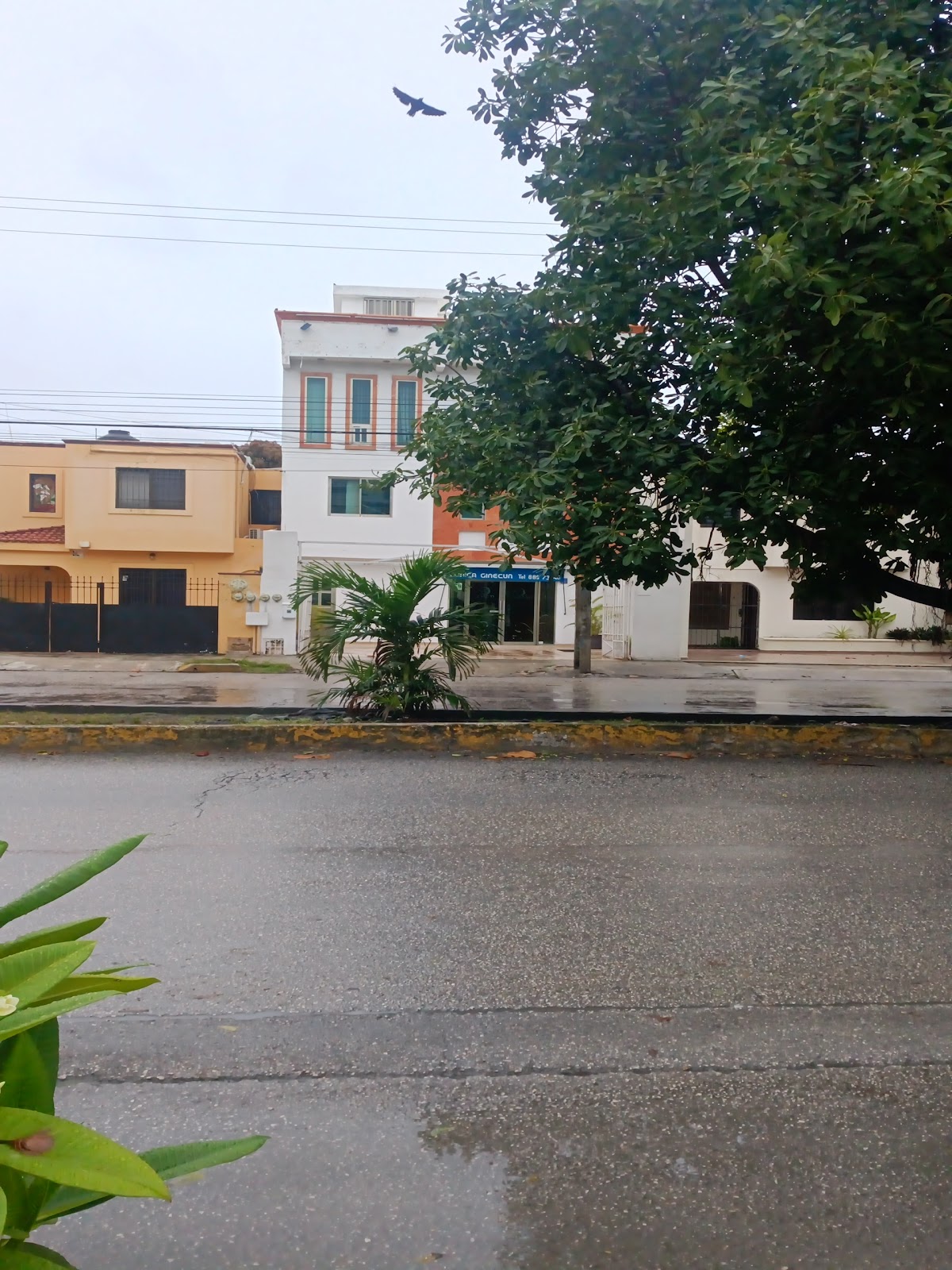 Clinica Ginecun — foto 2