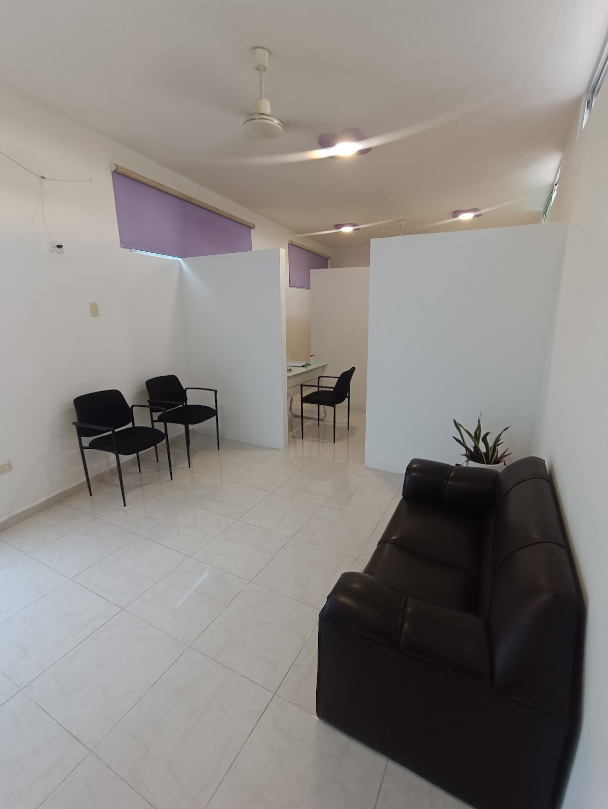 Clínica Dental Palmerales