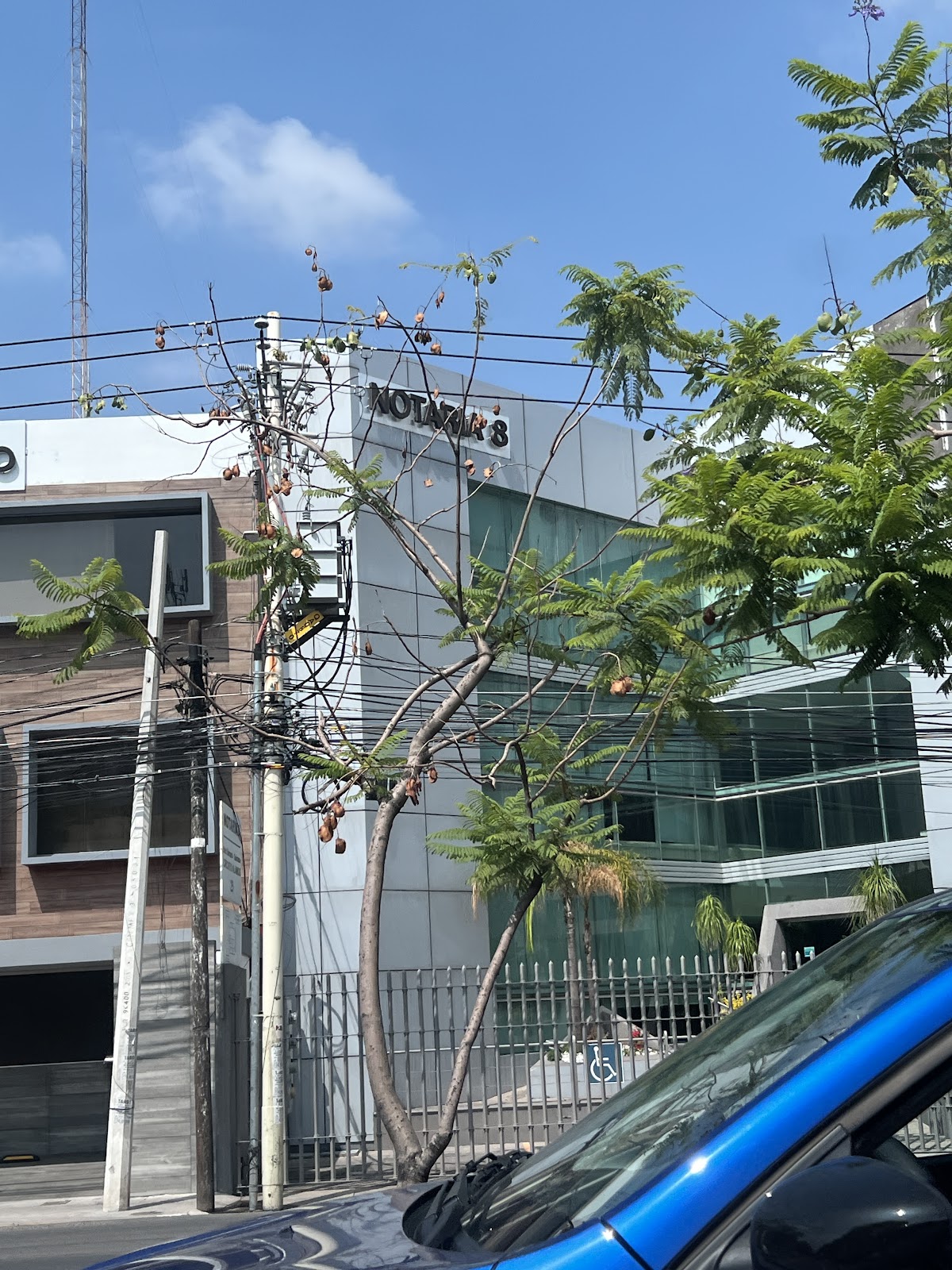 Notaría Pública 8 — foto 4