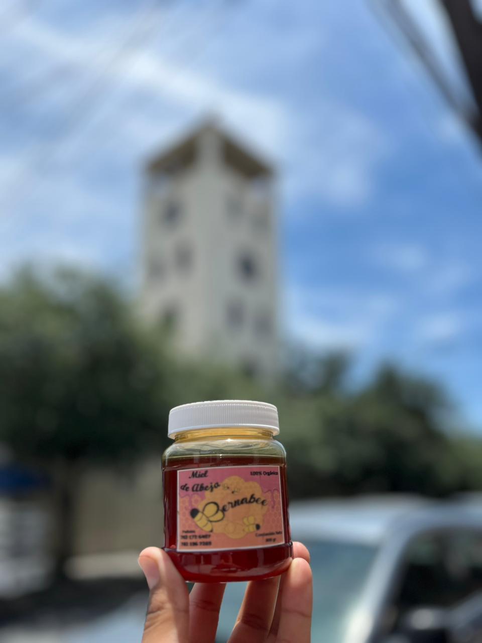 Idónea Legal — foto 3