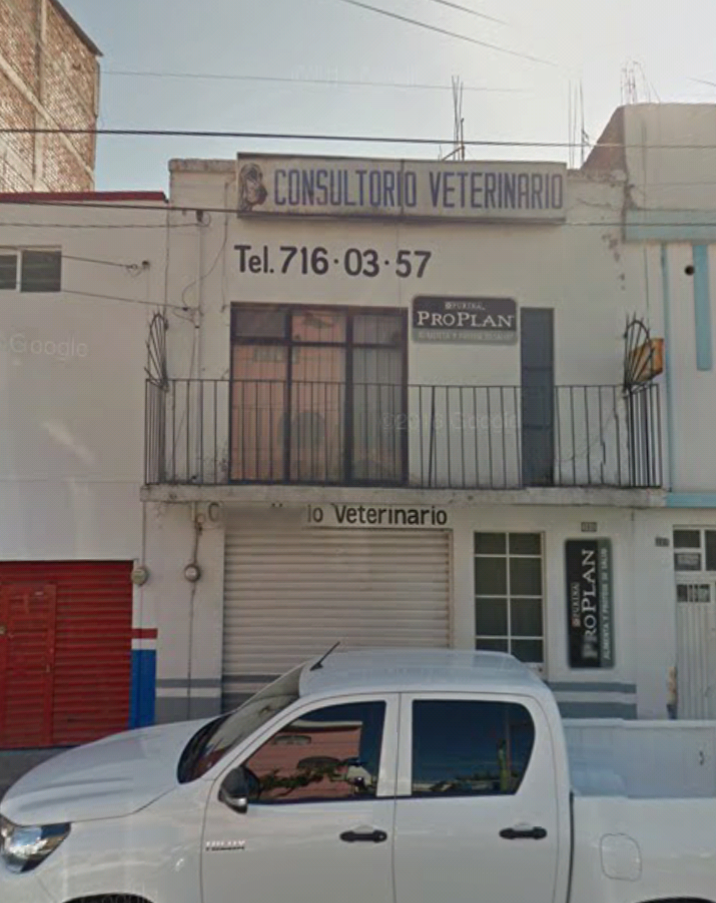 Consultorio Veterinario Dr. Álvarez — foto 3