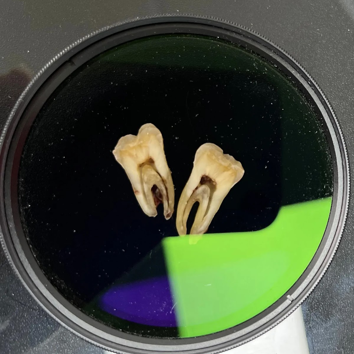 Studio Dental Aeleka