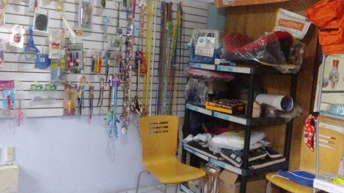 Clínica Veterinaria Pequeñas Servicio Especializado — foto 2