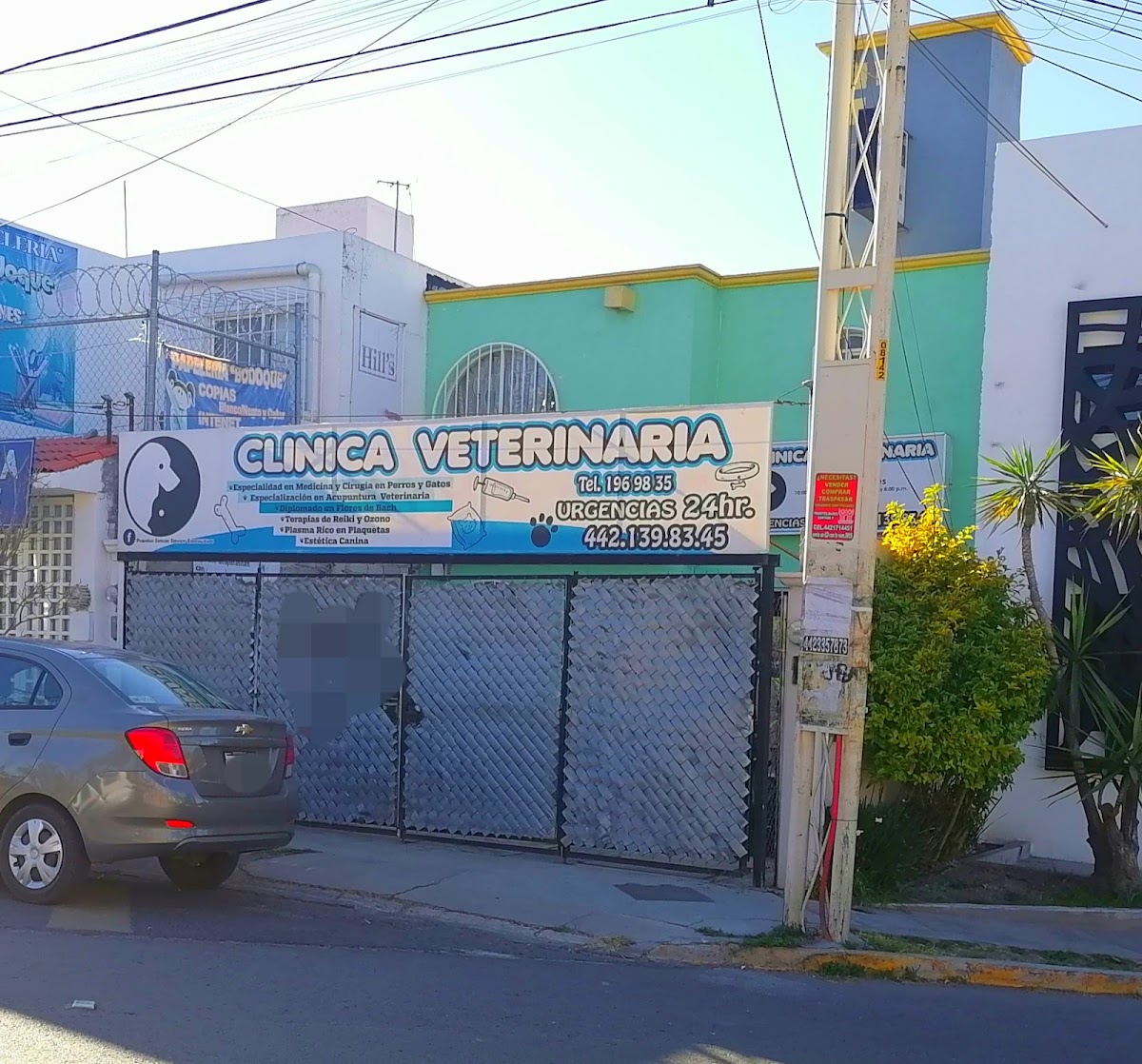 Clínica Veterinaria Pequeñas Servicio Especializado — foto 3