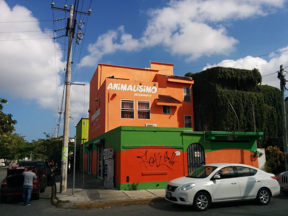 Animalisimo Veterinaria — foto 2