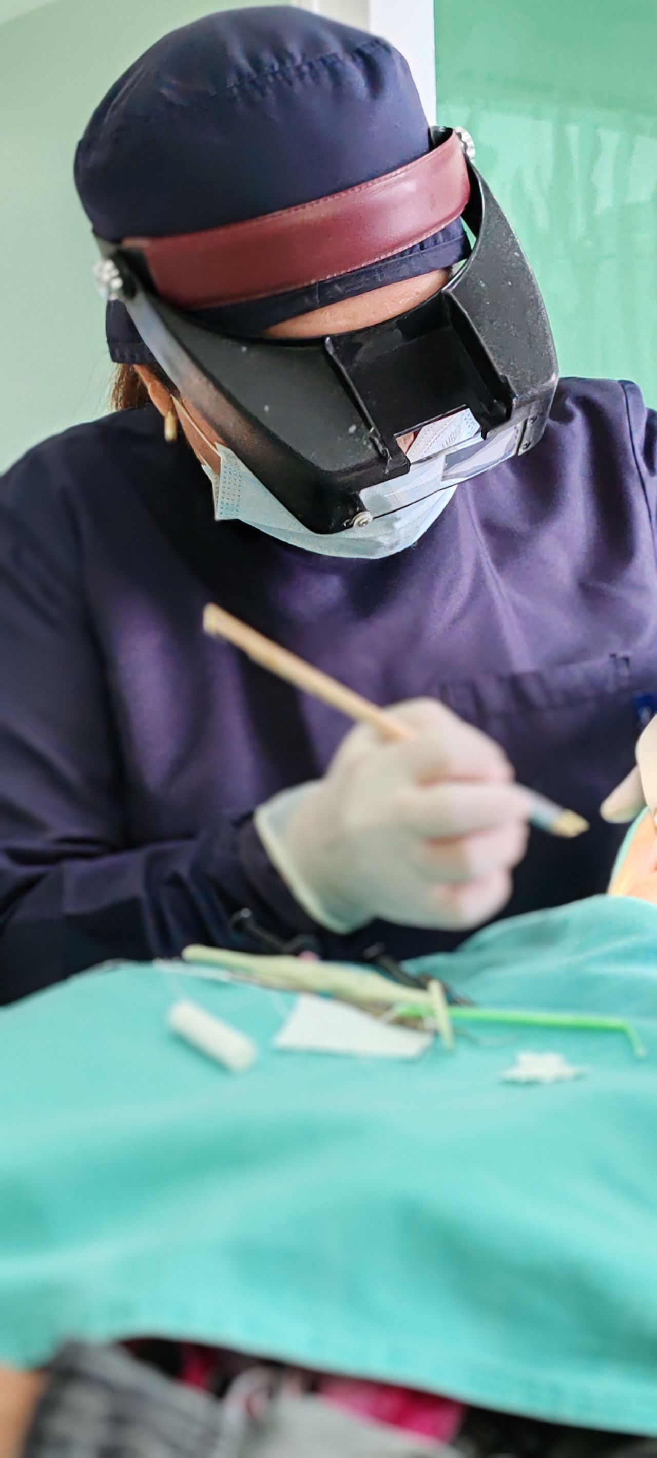 Dentomedica — foto 4