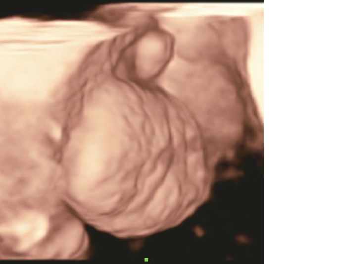 Dr. Mario López Franco — foto 3