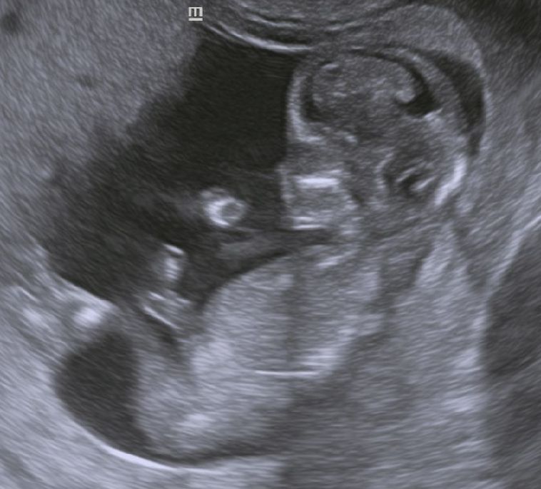 Dr. Mario López Franco — foto 4