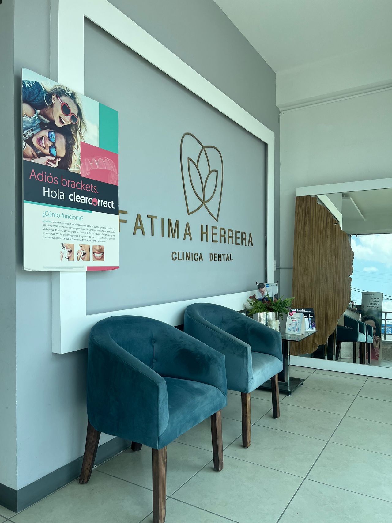 Clinica Dental Plaza gerbera