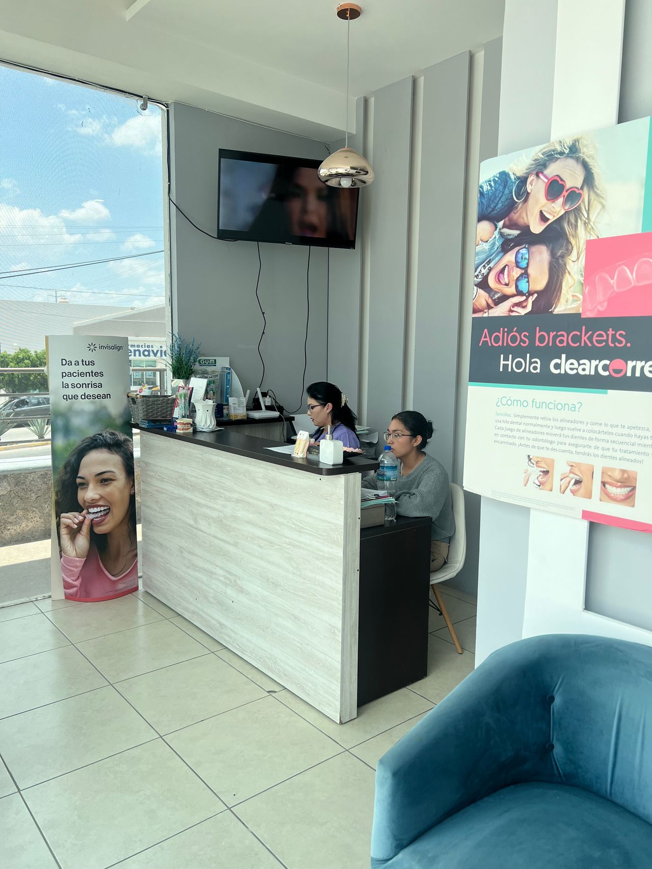 Clinica Dental Plaza gerbera — foto 2