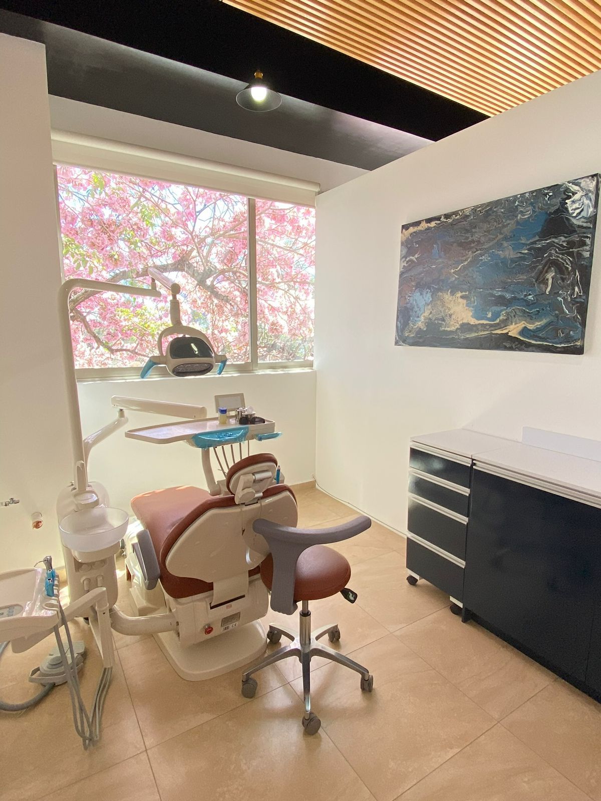 DentArteTj — foto 3
