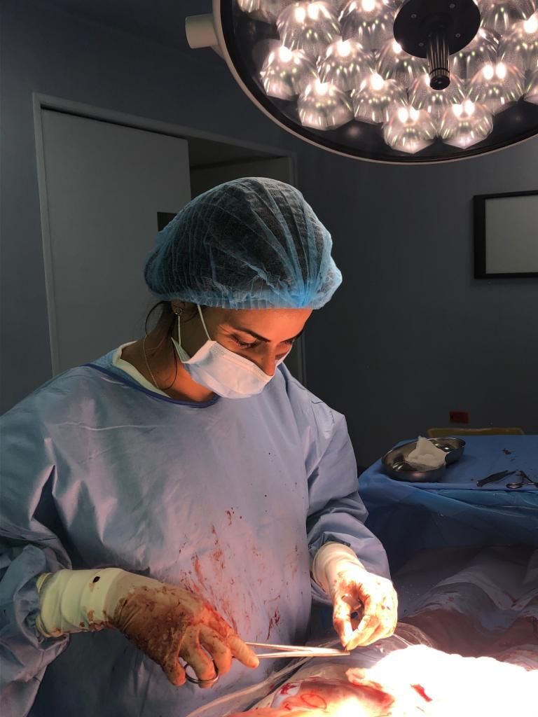 AMECAE Asociacion de Medicos Cubanos Altamente Especializados — foto 3
