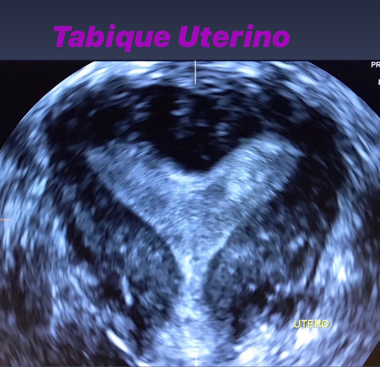 Dra. Alicia Jáuregui Meléndrez — foto 4