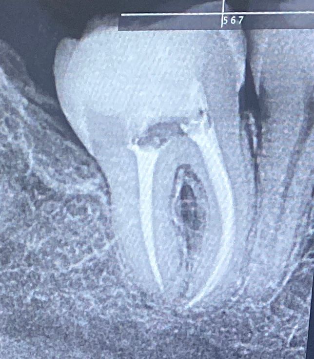 Dental Studio | MEEI