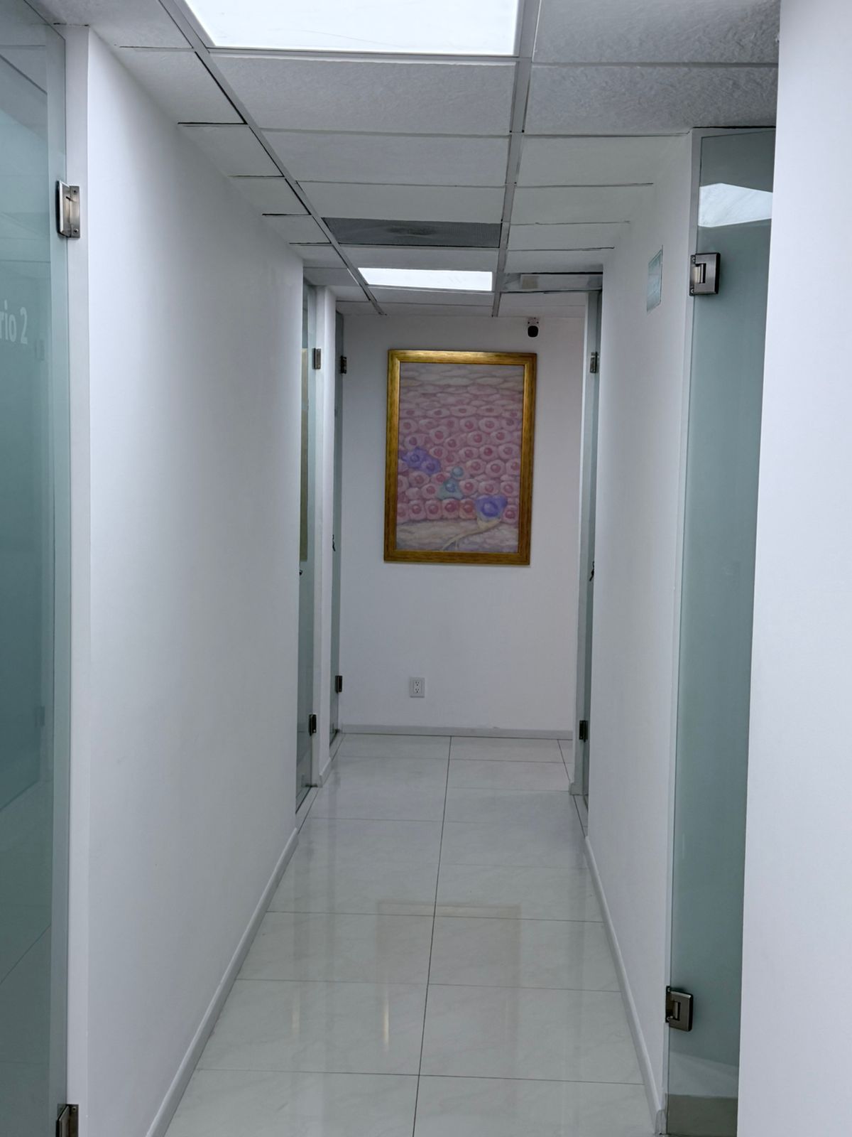 PUNTO PIEL — foto 3