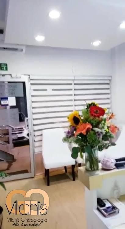 Vilchis Ginecología Alta Especialidad — foto 4