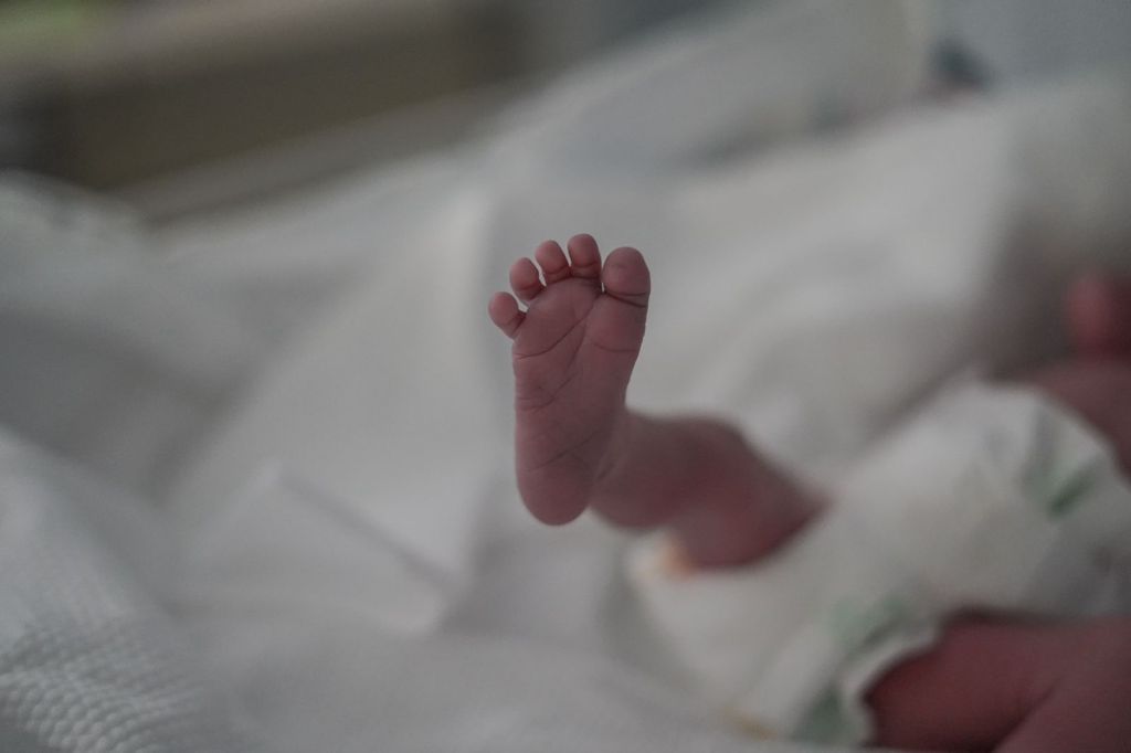 Procrea, The Art Of Giving Life — foto 3