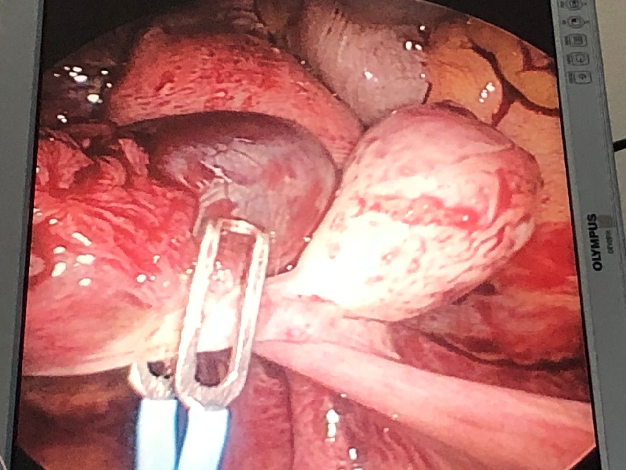 Fertigynclinic — foto 3